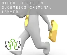 Other cities in Sucumbios criminal lawyer