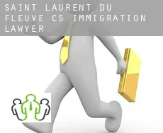 Saint-Laurent-du-Fleuve (census area)  immigration lawyer