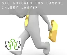 São Gonçalo dos Campos  injury lawyer