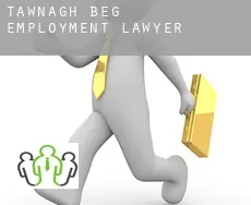 Tawnagh Beg employment lawyer