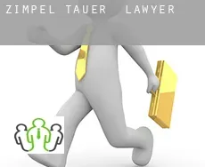 Zimpel-Tauer  lawyer