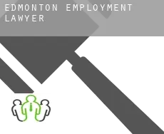 Edmonton  employment lawyer