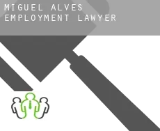 Miguel Alves  employment lawyer