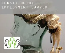 Constitución  employment lawyer