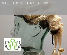 Niltepec  law firm