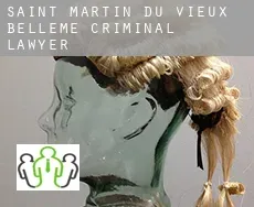 Saint-Martin-du-Vieux-Bellême criminal lawyer