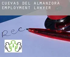 Cuevas del Almanzora employment lawyer