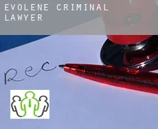 Evolène  criminal lawyer