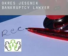 Okres Jesenik  bankruptcy lawyer