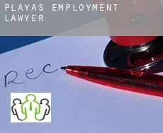 Playas  employment lawyer