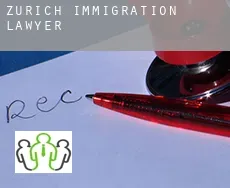 Zurich  immigration lawyer