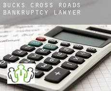 Buck’s Cross Roads  bankruptcy lawyer