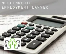 Mödlenreuth  employment lawyer