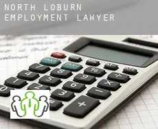 North Loburn  employment lawyer