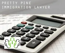 Pretty Pine immigration lawyer