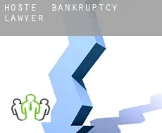 Höste  bankruptcy lawyer