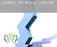 Lucmau  criminal lawyer