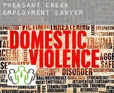 Pheasant Creek  employment lawyer