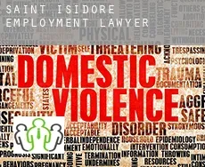 Saint-Isidore  employment lawyer